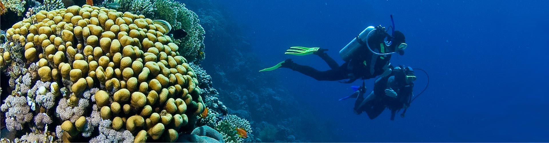 Check out Dahab's wonderful