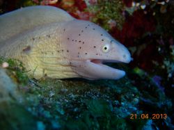 Underwater 2013 - part 1