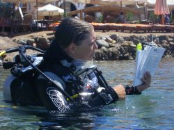 Dive Courses